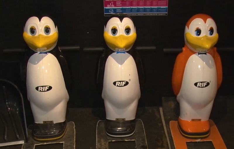 Пингвины для детей, В центре Одинцово открыли каток с платным прокатом коньков
