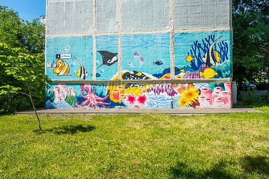 Граффити на торце Чикина 4: осьминожка, рыбки и кораллы, Граффити с Забивакой появится в Одинцово