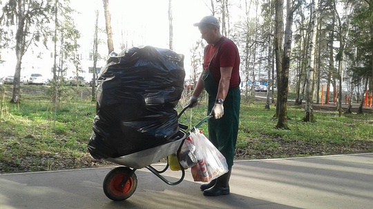 Уборка мусора в Трёхгорке, Последствия отдыха на природе