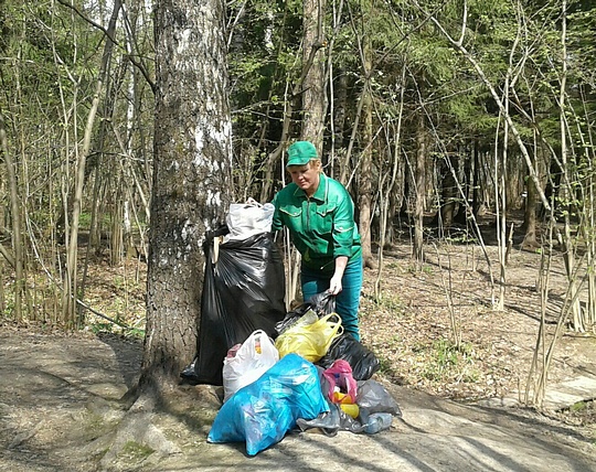Уборка мусора в парковой зоне в Трёхгорке, Последствия отдыха на природе